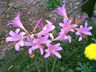 2001/08